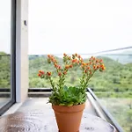 Garden Мини-отель Химара