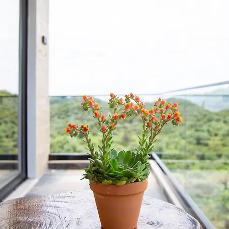 Garden Mini-hôtel Himarë