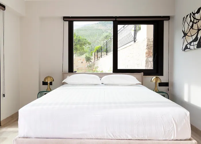 Han/Misafirhane Garden *