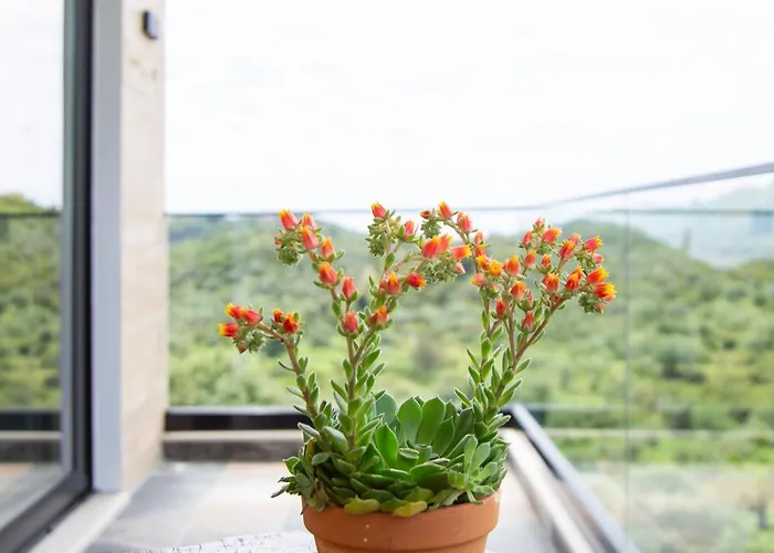 Garden Han/Misafirhane Himarë